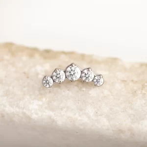 Top media luna prong set