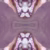 Opalo Lavanda